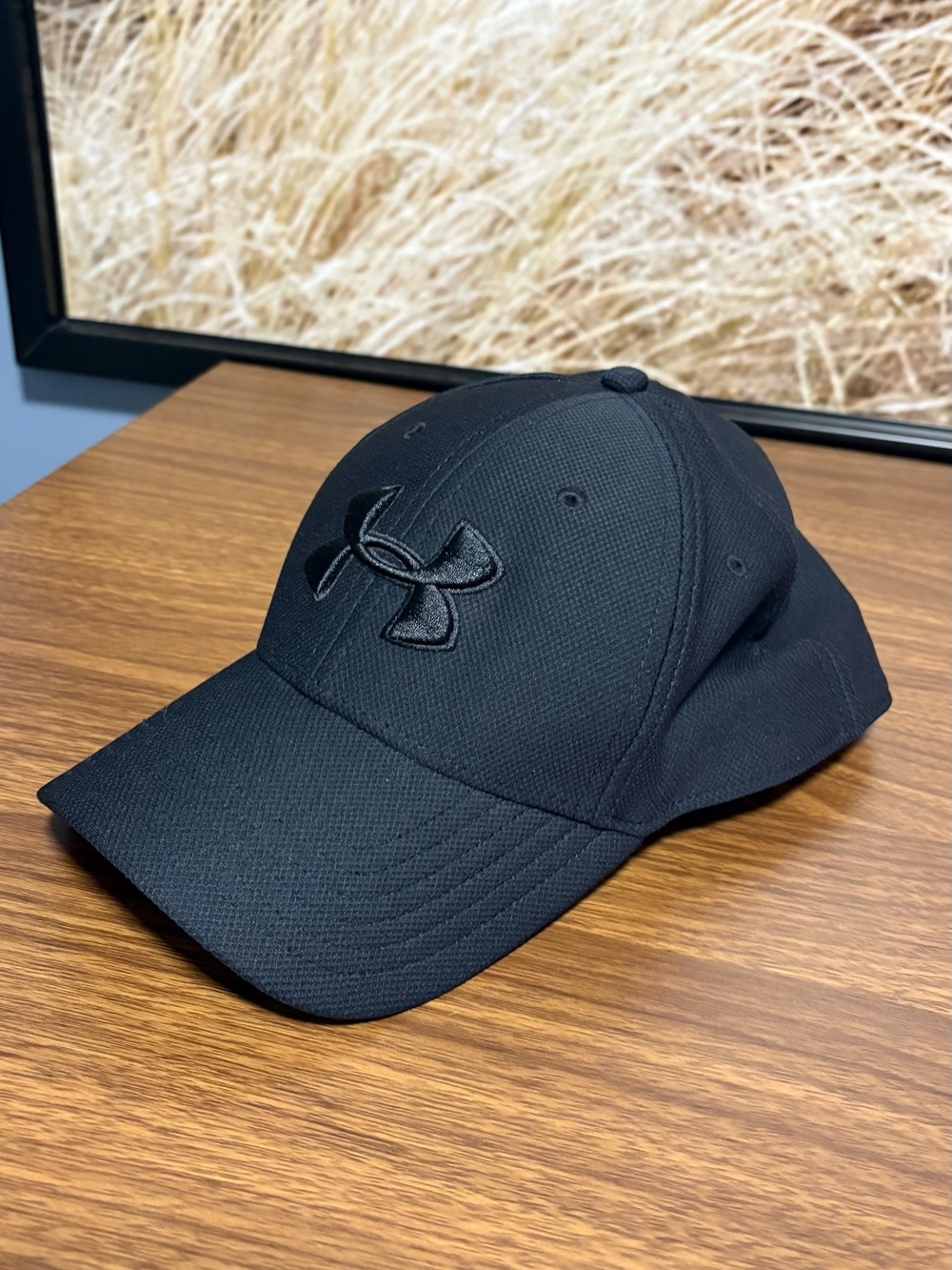 Under Armour Black Men's Curved-Brim Performance Cap